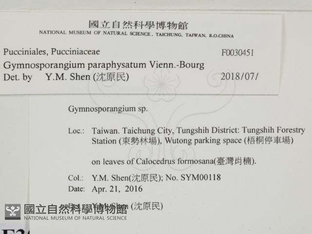 登錄號:F0030451藏品圖，第2張