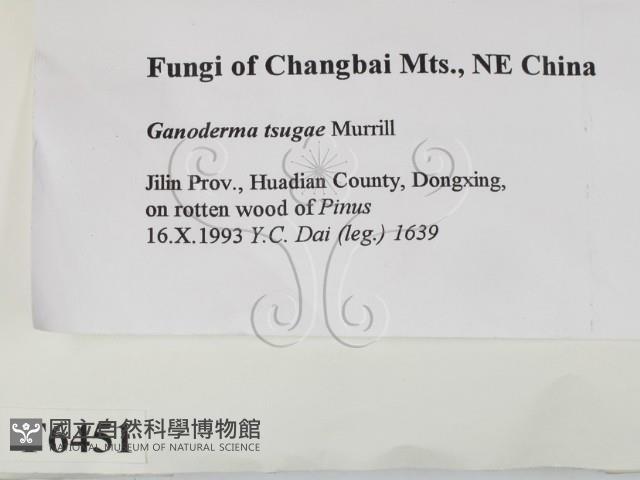 登錄號:F0006451藏品圖，第2張