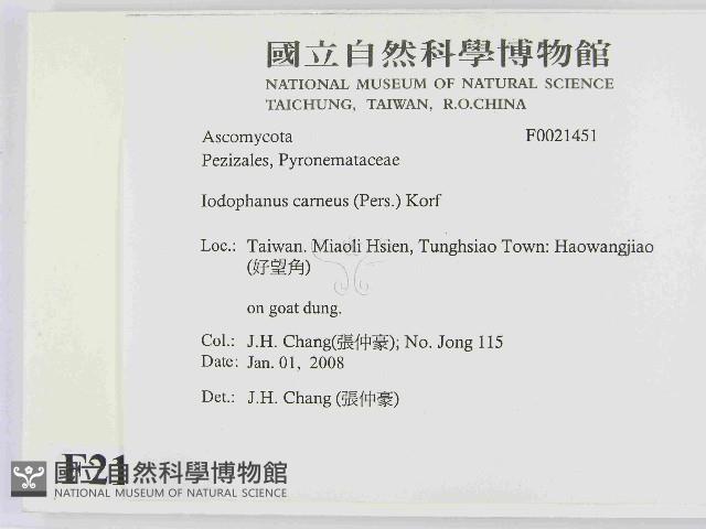登錄號:F0021451藏品圖，第2張