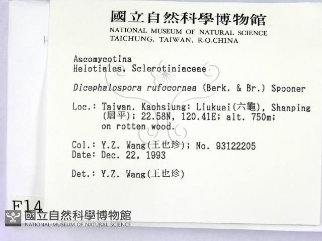 登錄號:F0001451藏品圖，第2張