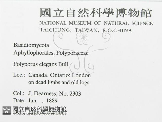 登錄號:F0011451藏品圖，第2張