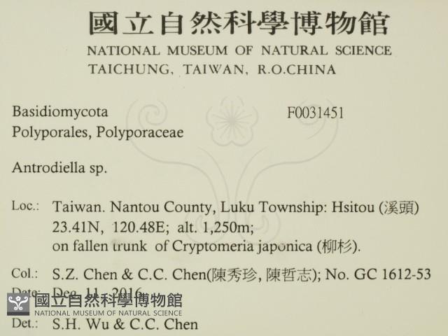 登錄號:F0031451藏品圖，第2張