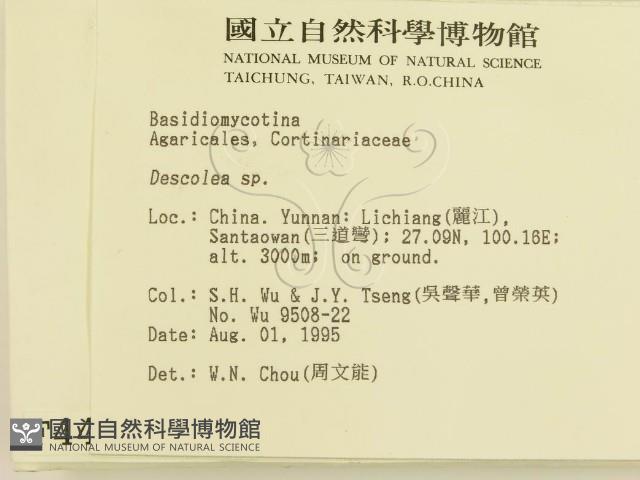 登錄號:F0004451藏品圖，第2張