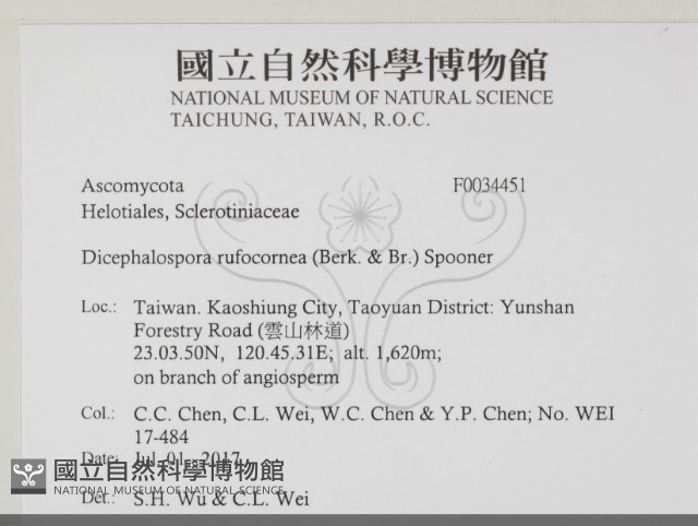 登錄號:F0034451藏品圖，第2張