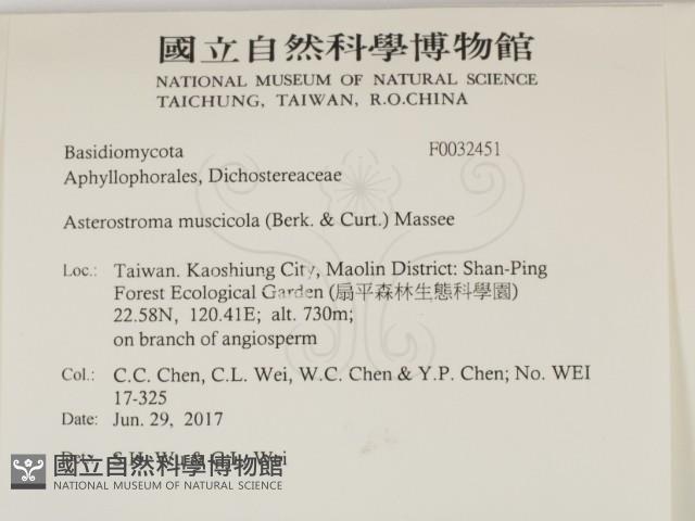 登錄號:F0032451藏品圖，第2張