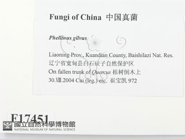 登錄號:F0017451藏品圖，第2張