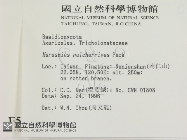 登錄號:F0005451藏品圖，第2張