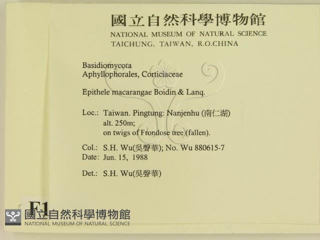 登錄號:F0015451藏品圖，第2張