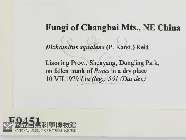 登錄號:F0009451藏品圖，第2張