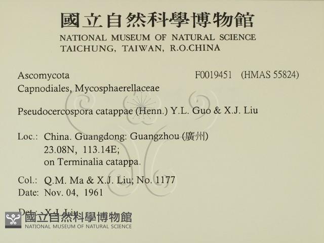 登錄號:F0019451藏品圖，第2張