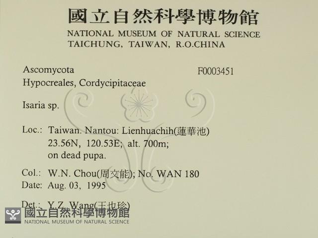 登錄號:F0003451藏品圖，第2張