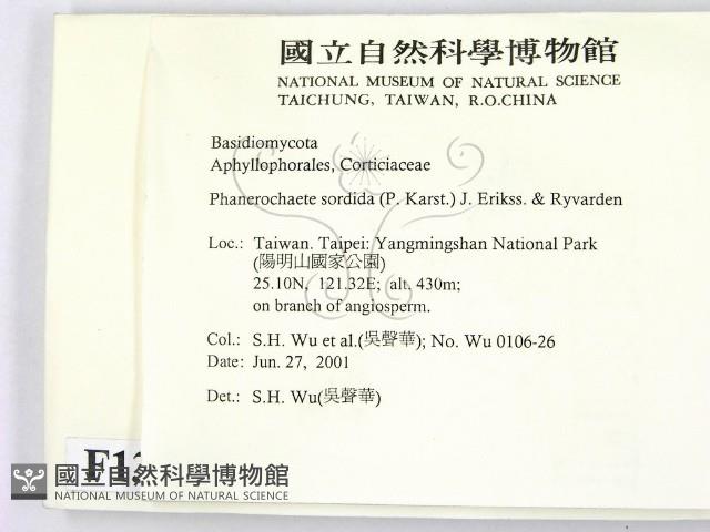 登錄號:F0013451藏品圖，第2張