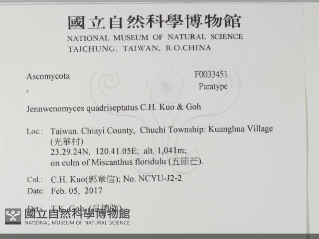 登錄號:F0033451藏品圖，第2張