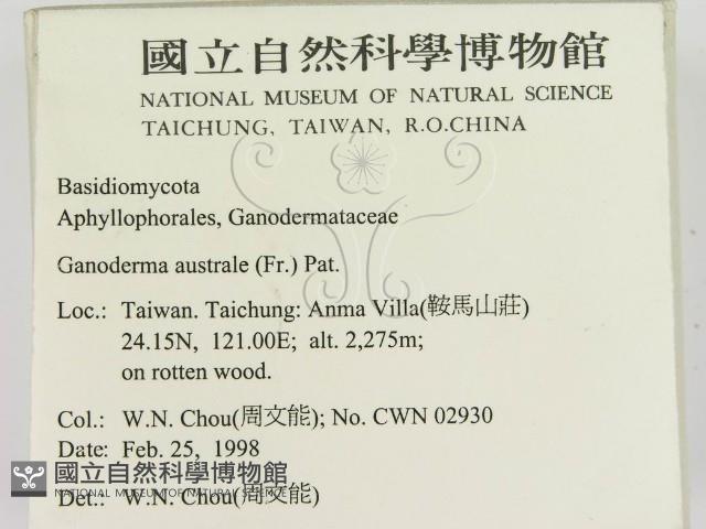 登錄號:F0010751藏品圖，第2張