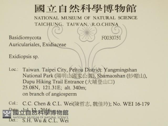 登錄號:F0030751藏品圖，第2張