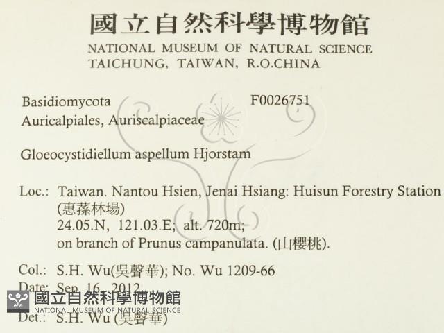 登錄號:F0026751藏品圖，第2張
