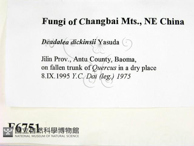 登錄號:F0006751藏品圖，第2張