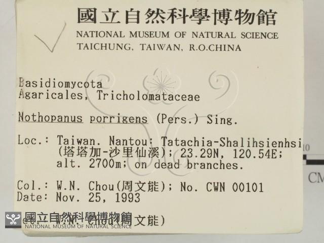 登錄號:F0001751藏品圖，第2張