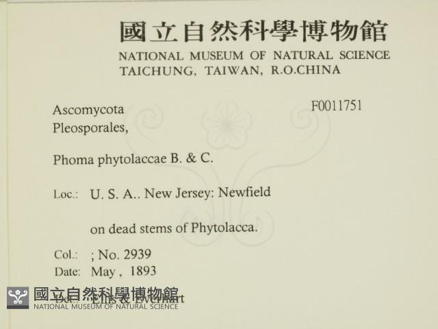 登錄號:F0011751藏品圖，第2張