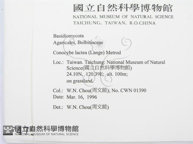 登錄號:F0004751藏品圖，第2張