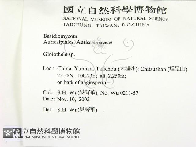 登錄號:F0014751藏品圖，第2張