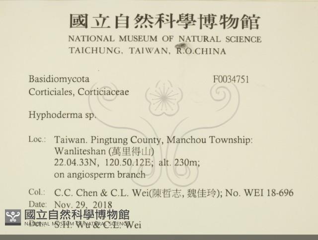 絲皮菌屬藏品圖，第2張