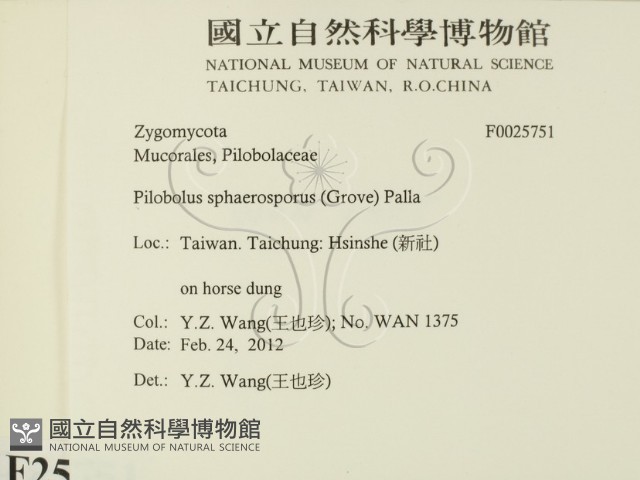 登錄號:F0025751藏品圖，第2張