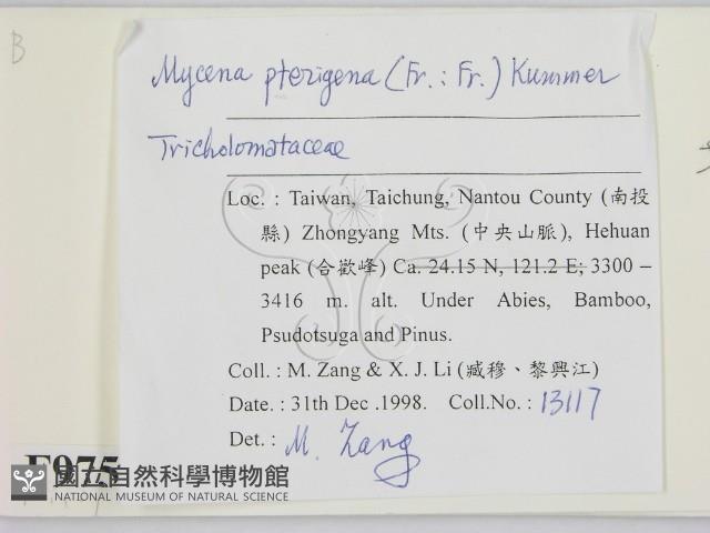 登錄號:F0009751藏品圖，第2張