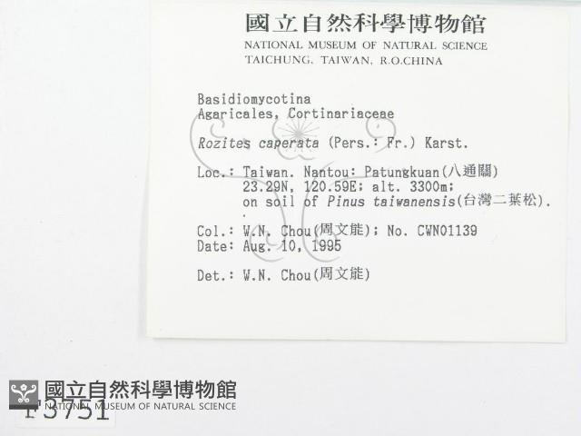登錄號:F0003751藏品圖，第2張