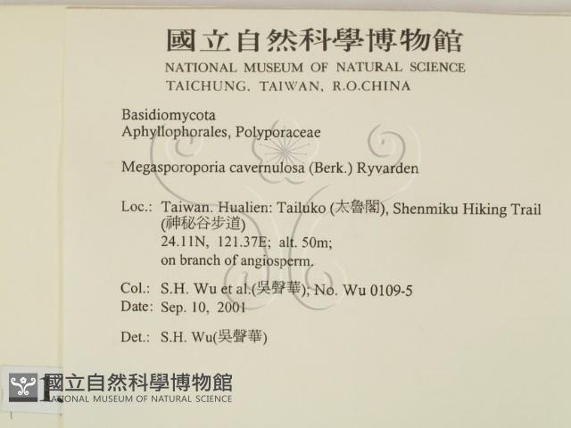 登錄號:F0013751藏品圖，第2張