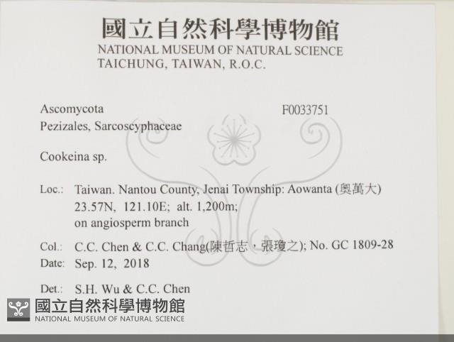 登錄號:F0033751藏品圖，第2張