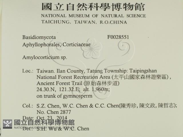 登錄號:F0028551藏品圖，第2張