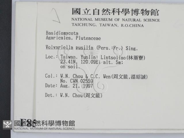 登錄號:F0008551藏品圖，第2張