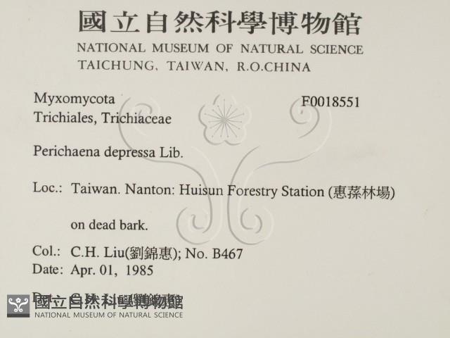 登錄號:F0018551藏品圖，第2張