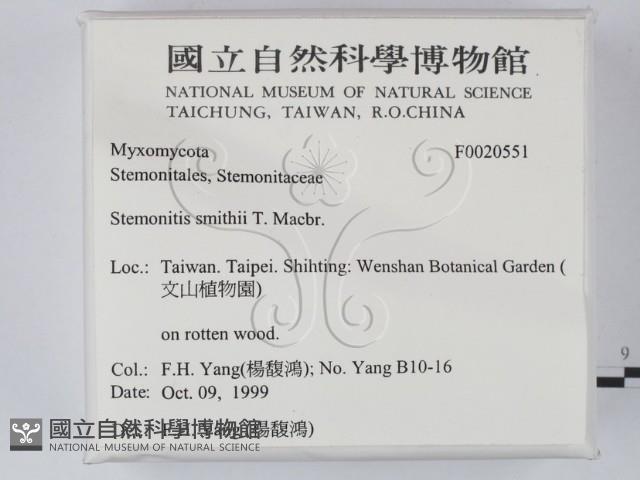 登錄號:F0020551藏品圖，第2張