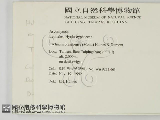 登錄號:F0000551藏品圖，第2張