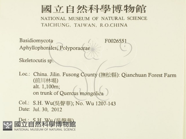骨皮菌屬藏品圖，第2張