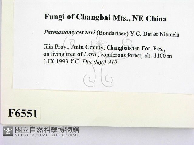 登錄號:F0006551藏品圖，第2張