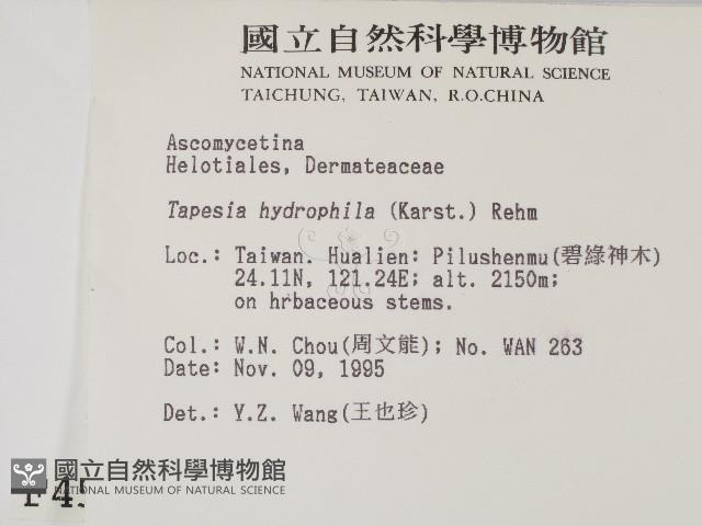 登錄號:F0004551藏品圖，第2張