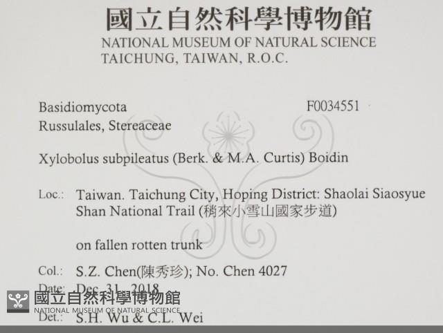 登錄號:F0034551藏品圖，第2張