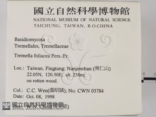 登錄號:F0012551藏品圖，第2張