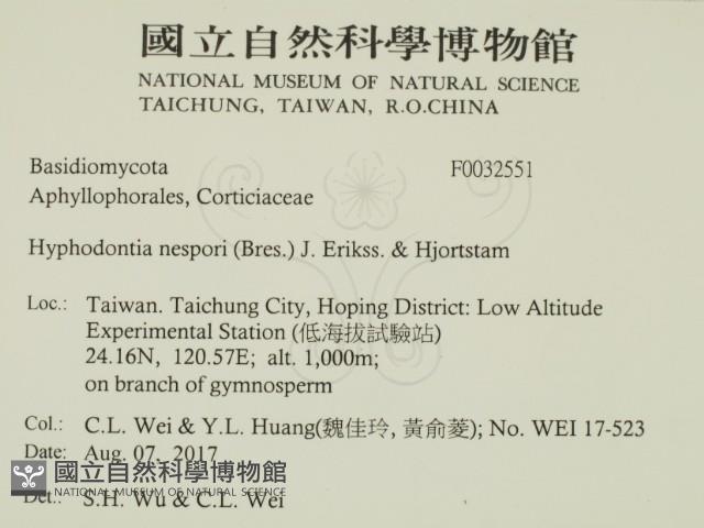 登錄號:F0032551藏品圖，第2張