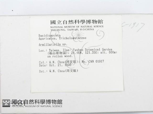登錄號:F0005551藏品圖，第2張