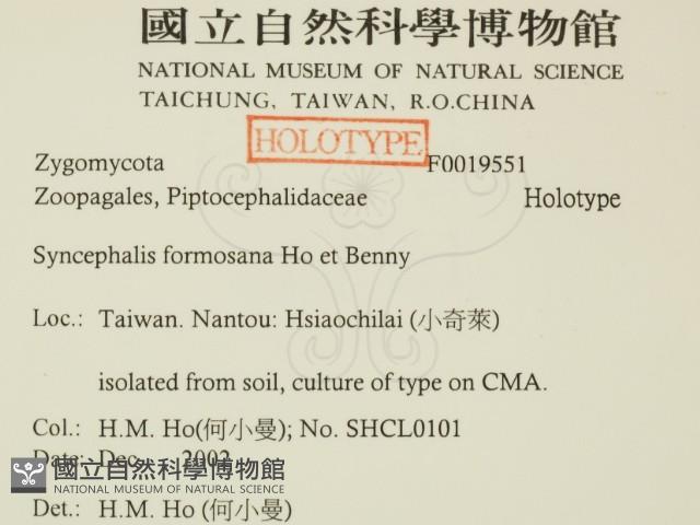 登錄號:F0019551藏品圖，第2張