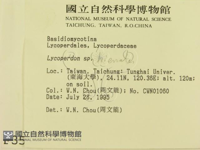 登錄號:F0003551藏品圖，第2張