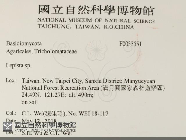 登錄號:F0033551藏品圖，第2張