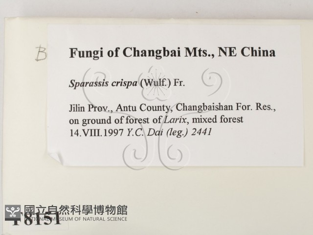 登錄號:F0008151藏品圖，第2張