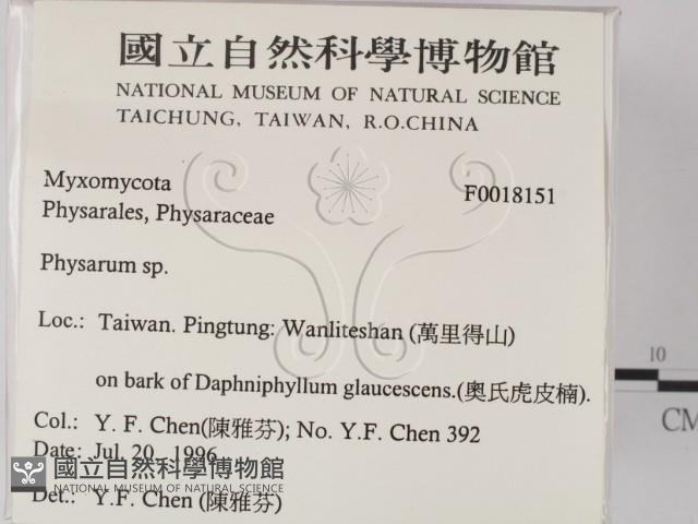 登錄號:F0018151藏品圖，第2張