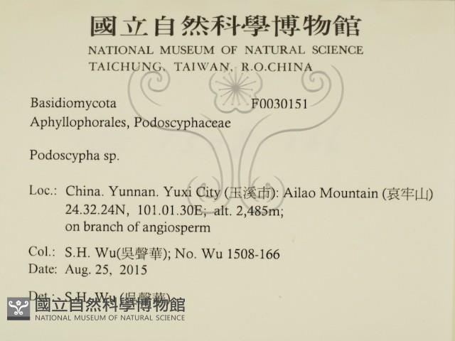 登錄號:F0030151藏品圖，第2張