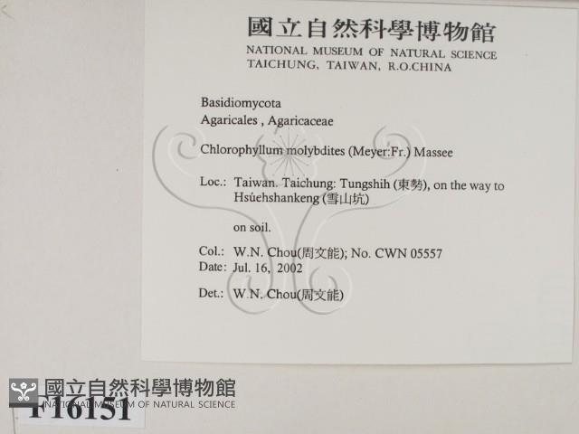 登錄號:F0016151藏品圖，第2張